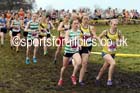 Senior womens North Eastern Cross Country, Aykley Heads, Durham. Photo: David T. Hewitson/Sports for All Pics